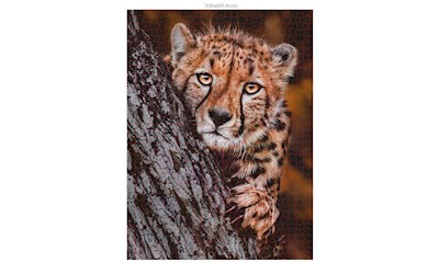 Gepard 1000 Teile (Donal Boyd)