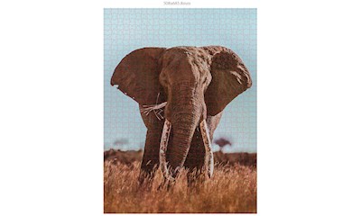 Afrikanischer Elefant 1000 Teile (Donal Boyd)