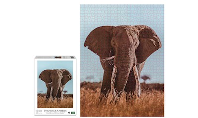 Afrikanischer Elefant 1000 Teile (Donal Boyd)