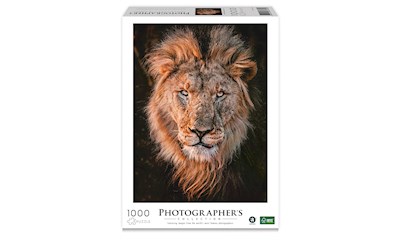 Löwenkopf 1000 Teile (Donal Boyd)