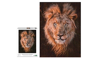 Löwenkopf 1000 Teile (Donal Boyd)