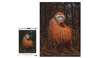 Orang-Utan 1000 Teile (Donal Boyd)