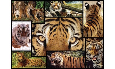 Tiger 1000 Teile