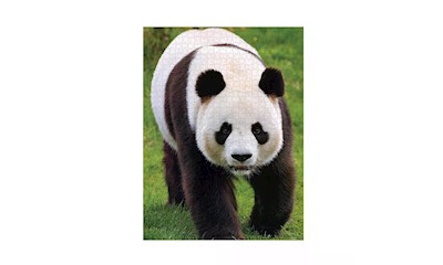 Panda 1000 Teile
