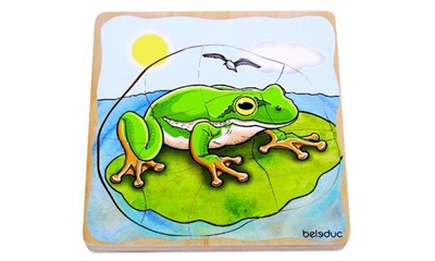 Frosch - Lagenpuzzle