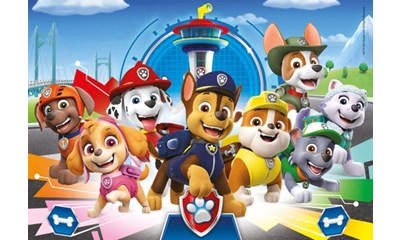 Paw Patrol verschiedene Motive