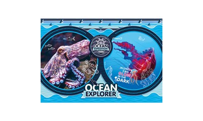 Ocean Expedition 180 Teile