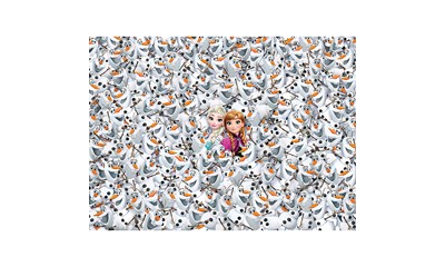 Impossible Puzzle! Frozen