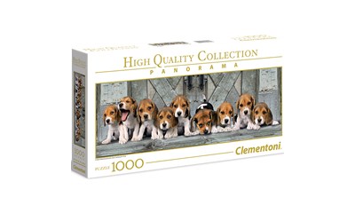 Panorama Hunde Beagles