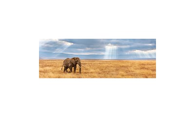 Panorama Verloren