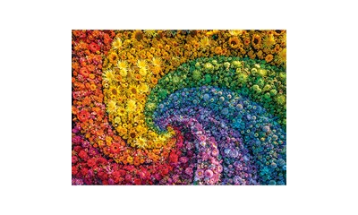 Whirl Colorboom
