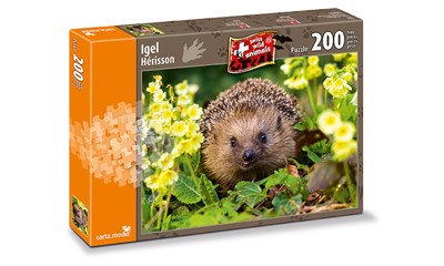 Igel