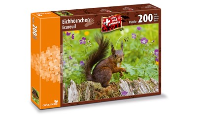 Eichhörnchen