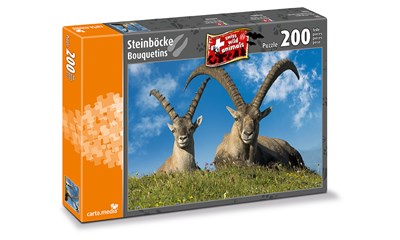 Steinbock