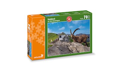 Steinbock auf dem Rotsteinpass NEU
