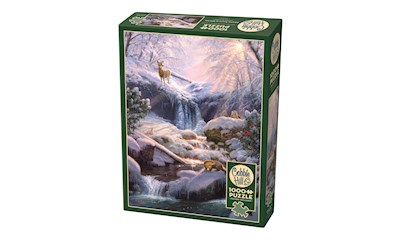 Mystic Falls im Winter 1000 Teile