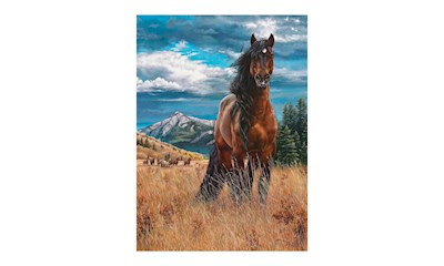 Wildpferd in Freiheit 1000 Teile