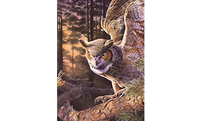 Eule im Wald 1000 Teile