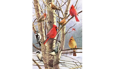 Wintervögel 1000 Teile