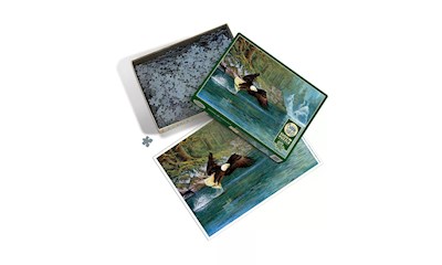 Weisskopfseeadler 1000 Teile