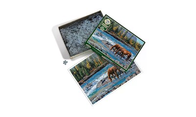 Pferde im Wildwasser 1000 Teile