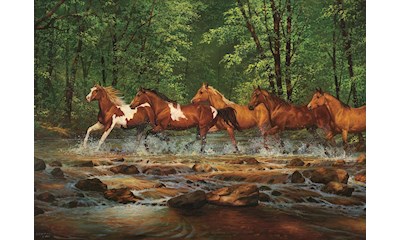 Wildpferde im Fluss 1000 Teile