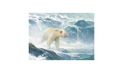 Kermodebär zwischen Wellen 500 Teile