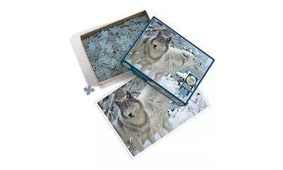 Wölfe im Schnee 500 Teile