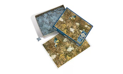 Möhre und Goldzeisig 500 Teile