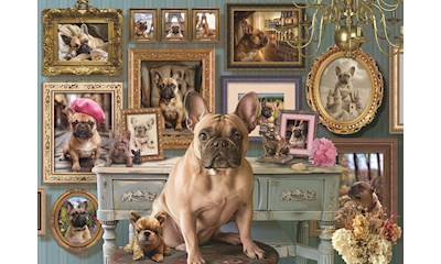 Französische Bulldogge 500 Teile