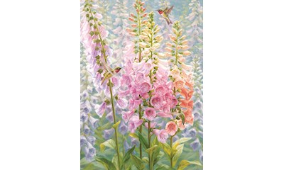 Blumen im Sommer 500 Teile