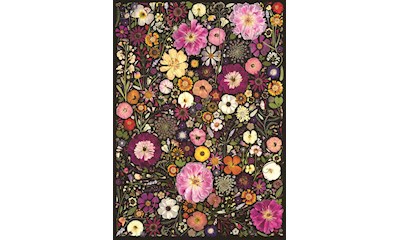 Blütenpresse: Zierblumen 500 Teile