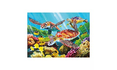 Molokini Strömung 350 Teile