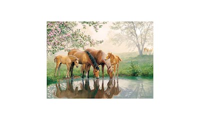 Pferdefamilie 350 Teile