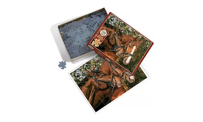 Pferdefreunde 275 Teile