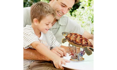 3D Puzzle Meeresschildkröte 31 Teile