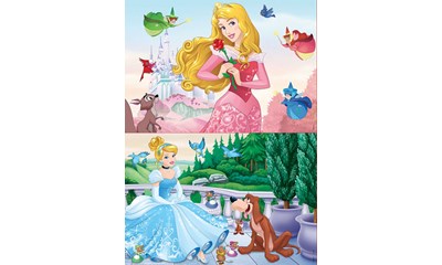 Disney Princesses
