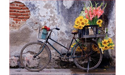 Fahrrad mit Blumen 