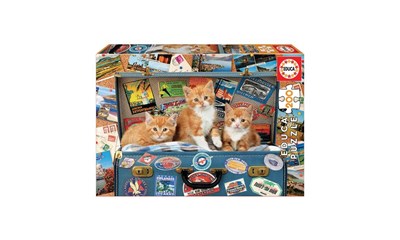 Katzen im Reisekoffer