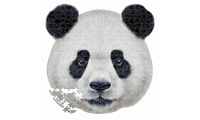 Pandakopf