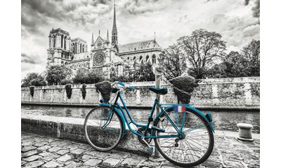 Fahrrad vor Notre Dame