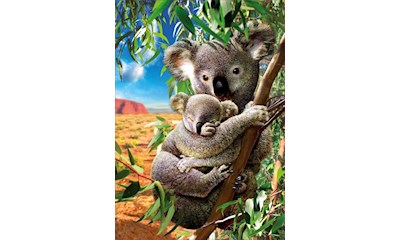 Koala mit Koala-Baby 