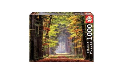Herbstweg durch Wald