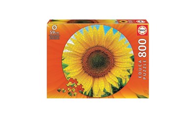 Sonnenblume