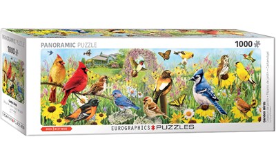 Garden Birds