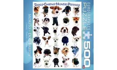 Morito: Dog Breeds