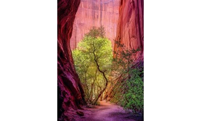 Singing Canyon