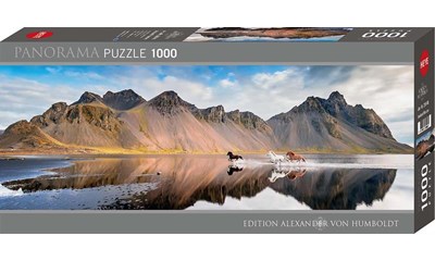 Iceland Horses Panorama