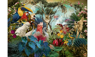Birdiversity 