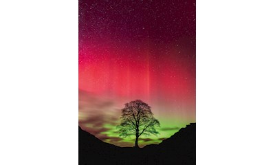 Sycamore Gap